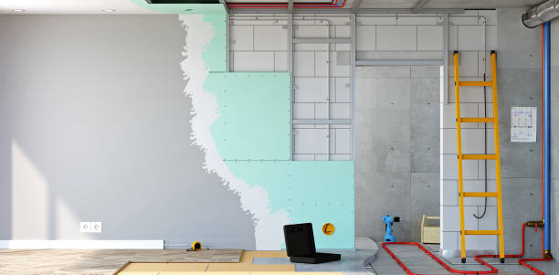 Best Attic Mold Removal  in Mccamey, TX