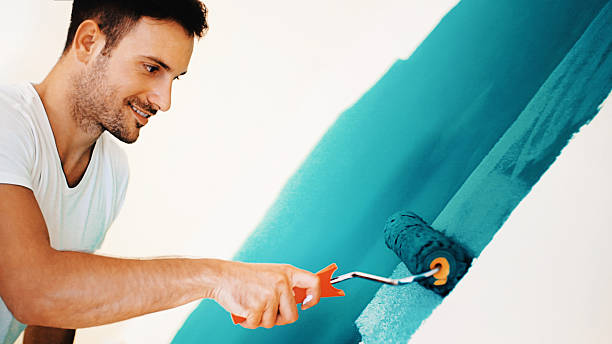 Best Black Mold Removal  in Mccamey, TX